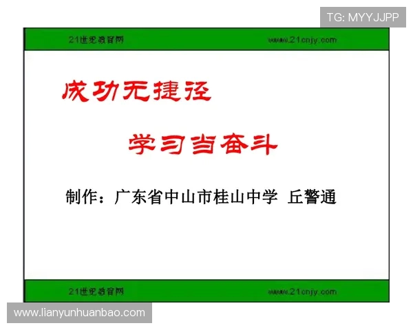 滑板新手必看:团队协作技巧与入门指南全解析
